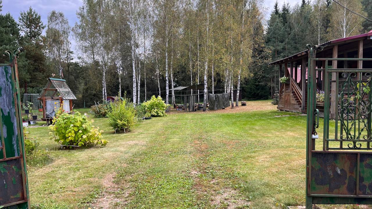 Прогулки по деревне