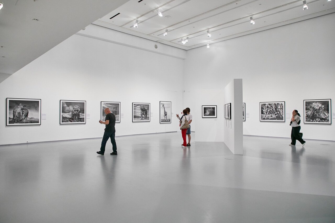 Мультимедиа Арт Музей