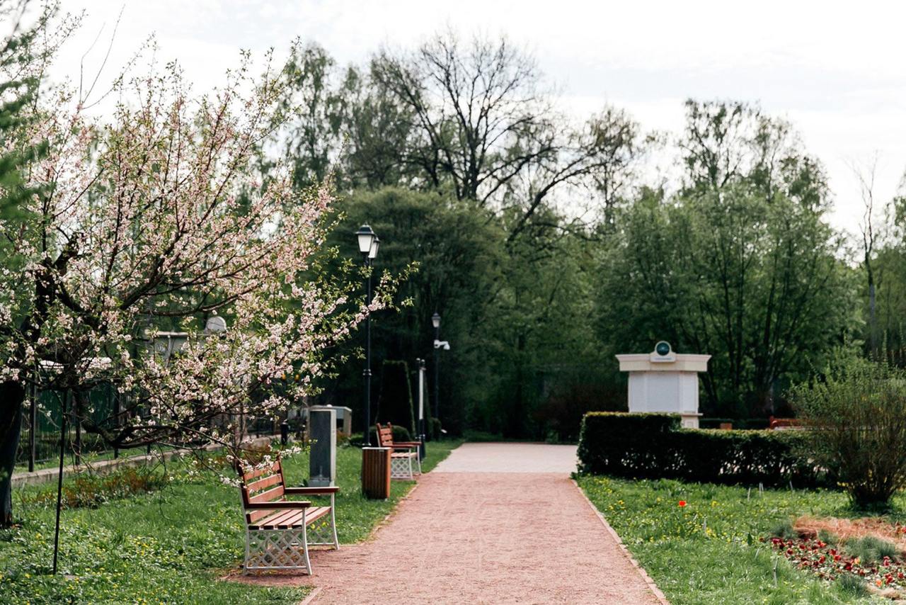 парк Сокольники