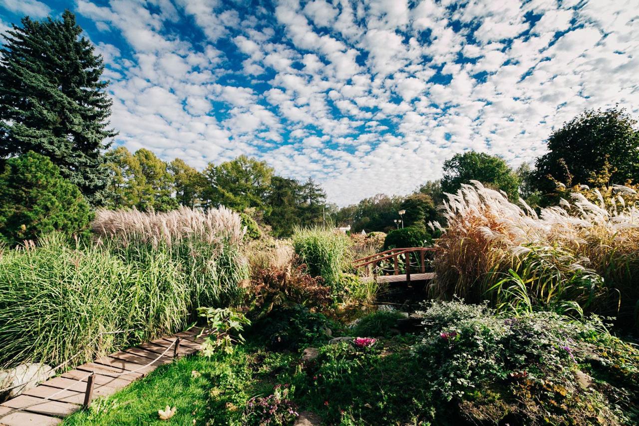 парк Сокольники