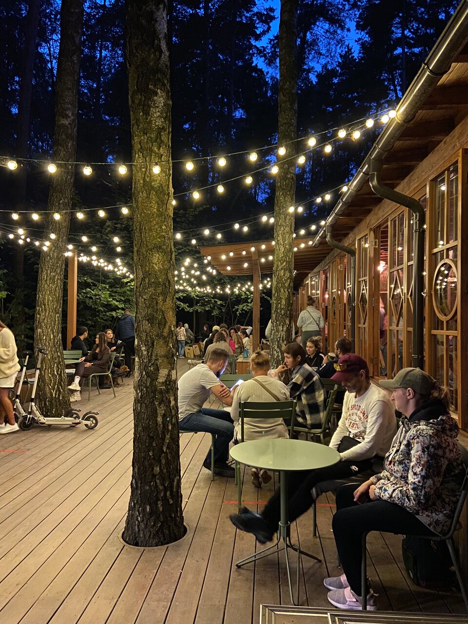 Лесная чайная